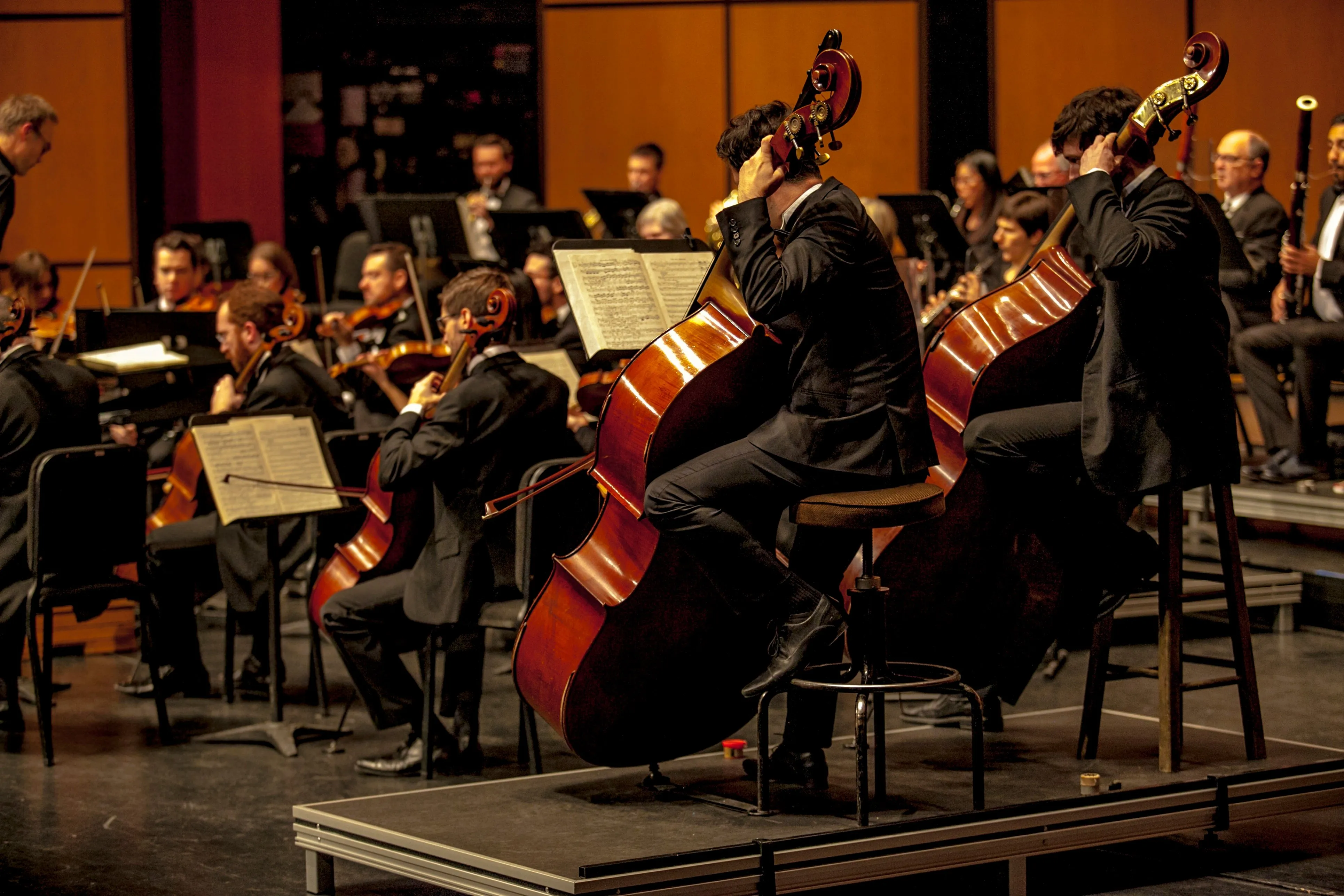 Musicians performing together in an orchestra